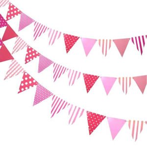 Pink  Paper Triangle Flag